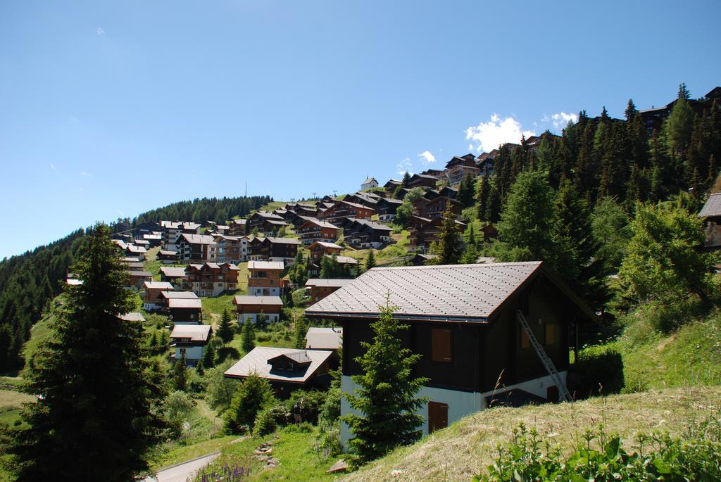 Chalet Foresta Bettmeralp Exterior foto